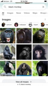 Создать мем: приматы, горилла, обезьян мен