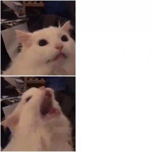 Создать мем: cat meow, white cat meowing meme gif, white cat meowing meme