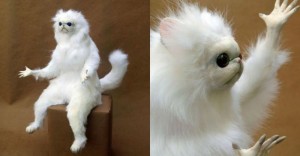 Create meme: stuffed white cat, white animal meme, stuffed cat