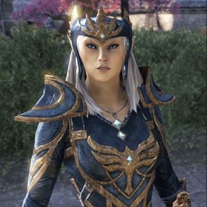 Create meme: elder scrolls online, skyrim, high elf