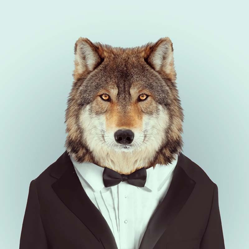 Create meme: wolf in a suit, animals in clothes , the wolf man