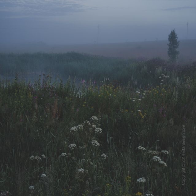 Create meme: the landscape is gloomy, fog nature, landscape 