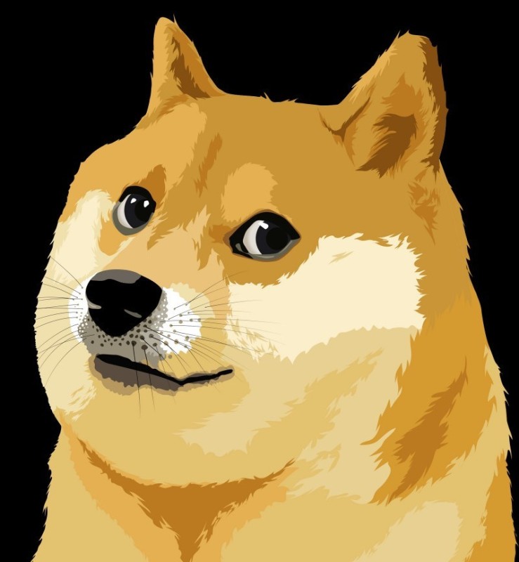 Create meme: doge meme , pet simulator x, dogecoin