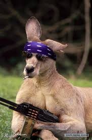 Create meme: funny kangaroo, kangaroo meme , kangaroo funny