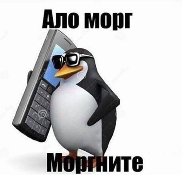 Создать мем: пингвин с телефоном, мем пингвин с телефоном, мемы с пингвином