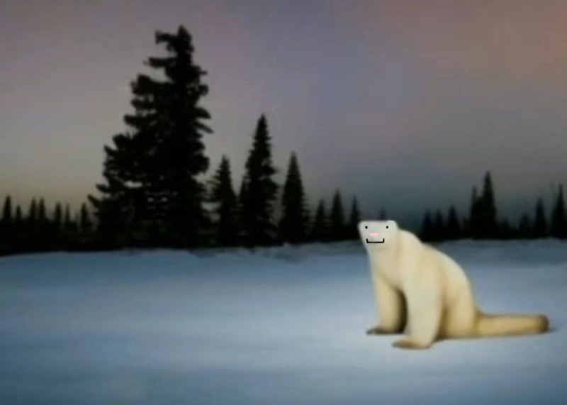 Создать мем: северный медведь, кот, арктика белый медведь