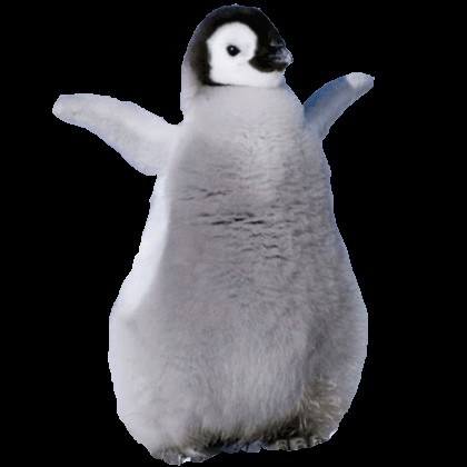 Создать мем: танцующий пингвин, пингвин и пингвиненок, забавные пингвины