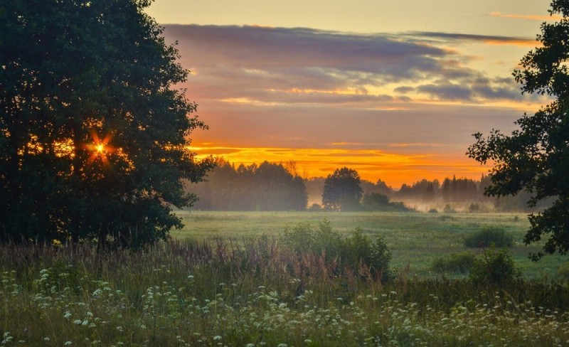 Create meme: morning landscape gerasimov village, june dawn, dawn in the village