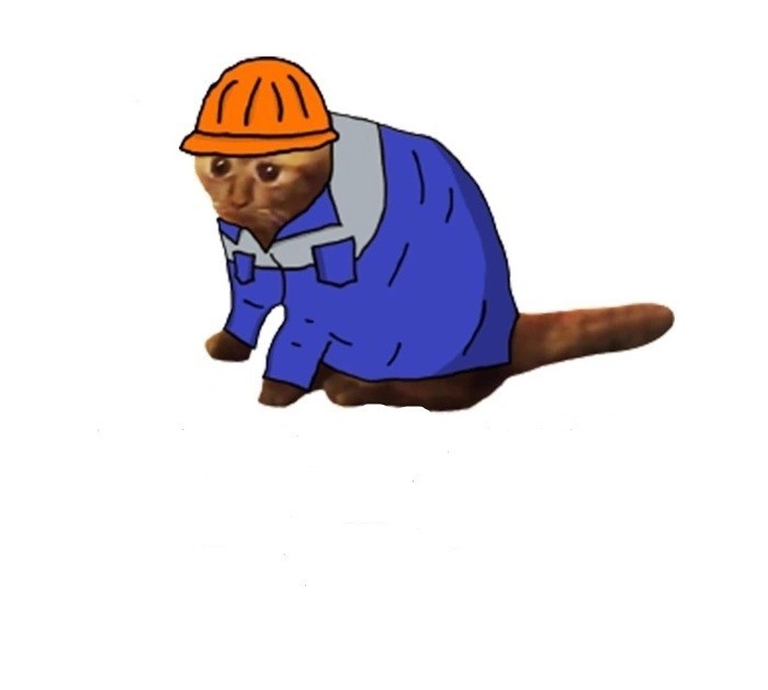 Create meme: hard worker meme, The cat is a hard worker, the cat is a hard worker