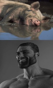 Create meme: pig, Ernest Khalimov, pig in the mud
