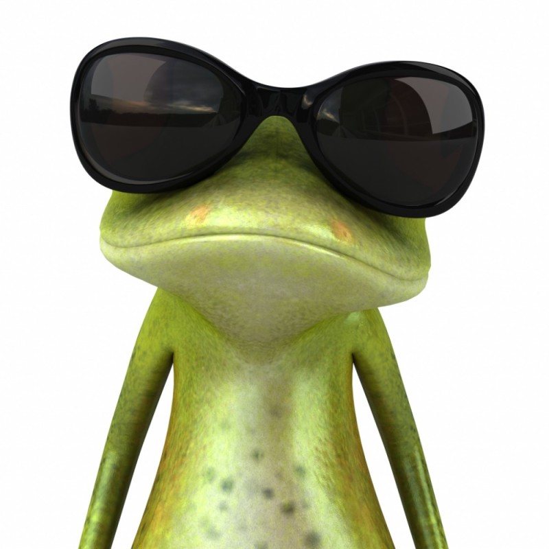 Create meme: funny frogs, cool frog, frog 