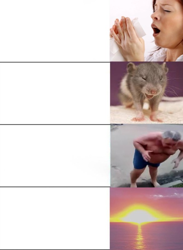 Create meme: mouse rat, rat bite, rat face
