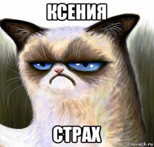 Create meme: grumpy cat, meme dissatisfied, grumpy cat meme that says