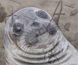 Создать мем: грустный тюлень уплывает, тюлень с руками мем, тюлень улыбается