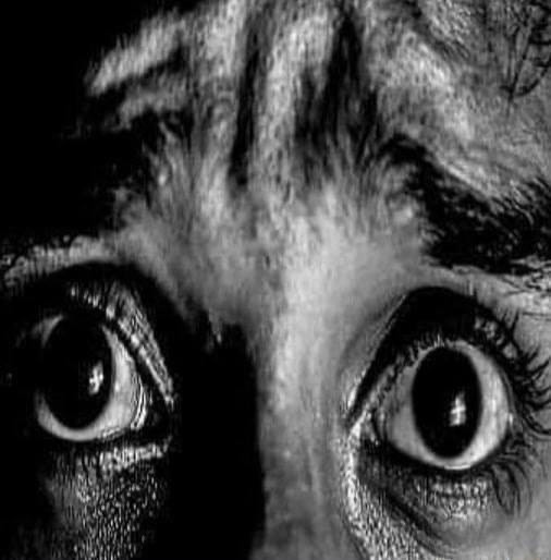 Create meme: Frightened eyes, Philip Kosarev, the frightened eye