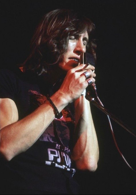 Create meme: Roger waters , singers , guy 