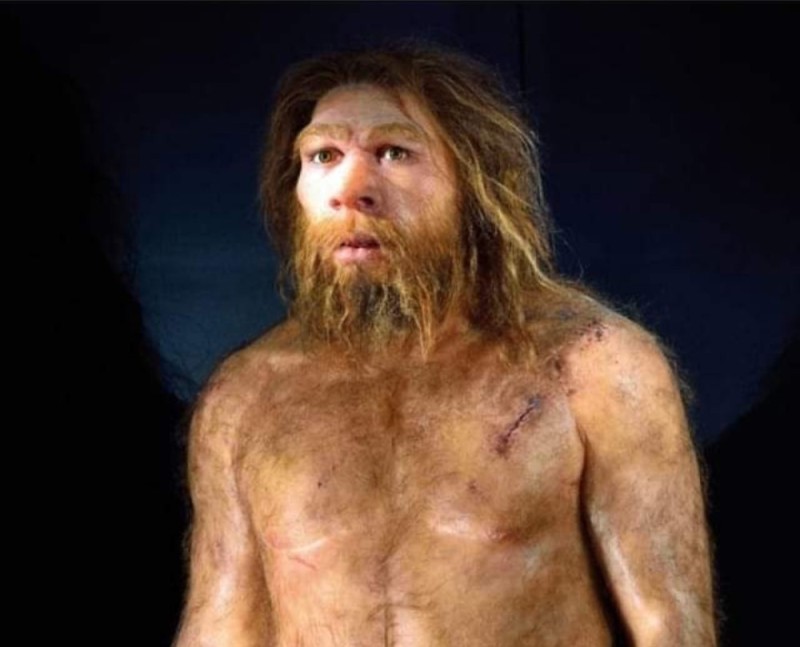 Создать мем: кроманьонцы и неандертальцы и денисовцы, хомо неандерталец, неандерталец реконструкция