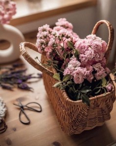 Create meme: beautiful flowers, basket of flowers, delicate flowers