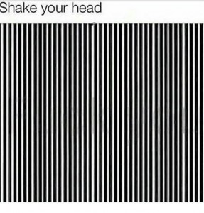 Create meme: shake your head, illusion shake your head, black-white stripe
