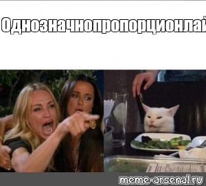 Create meme: MEM woman and the cat, MEM woman and the cat at the table