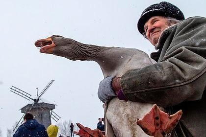 Create meme: goose , goose fights in suzdal, goose fights 