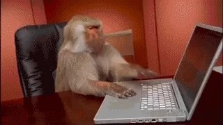 Create meme: monkey , monkey at the keyboard, a monkey with a laptop