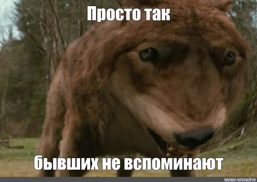 Просто Фото Бывших