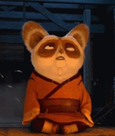 Create meme: kung fu Panda master Shifu, Shifu , kung fu