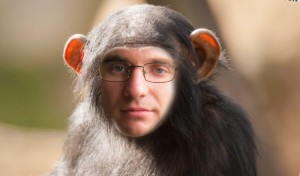 Создать мем: обезьянки, оспа обезьян, обезьяна морда