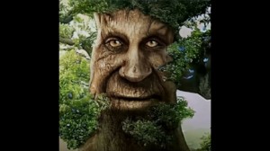 Создать мем: дух дерева, дерево, дерево с лицом
