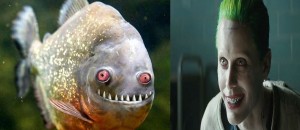 Создать мем: пираньи, хищные рыбы, рыба улыбака