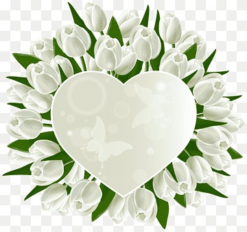 Создать мем: цветочное сердце, белые тюльпаны, цветы белые