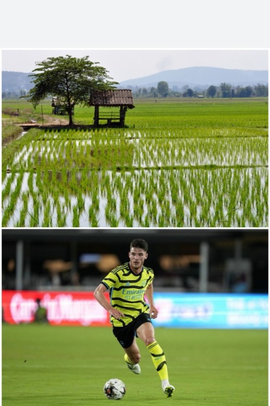 Create meme: Declan Rice, pulisic Borussia, Borussia 