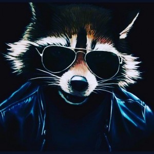 Create meme: arts cool, raccoon in Adidas, raccoons art