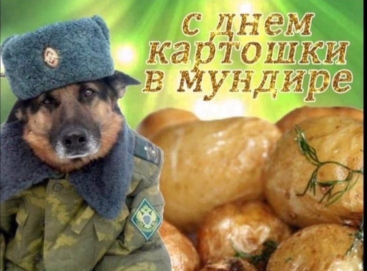 Create meme: jokes humor, Happy Dog handler's Day, army jokes