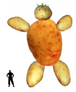 Create meme: brushed potatoes in the pelvis, potatoes peeled in the basin, Taras Bulba potatoes
