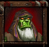 Create meme: Orc from Warcraft, farseer warcraft 3, Orc from Warcraft 3 character