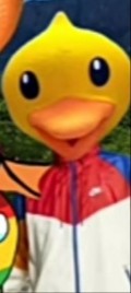 Create meme: ducks, duck, duck 