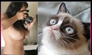 Создать мем: сердитая кошка, ragdoll cat, в объективе