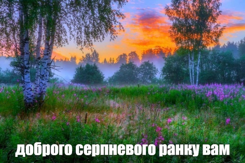 Создать мем: красота русской природы, утренняя природа, пейзаж утро
