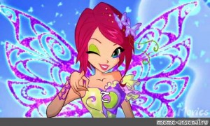 Quem Vcs Eram Do Clube Das Winx Bloom Flora Musa Stella Tecna