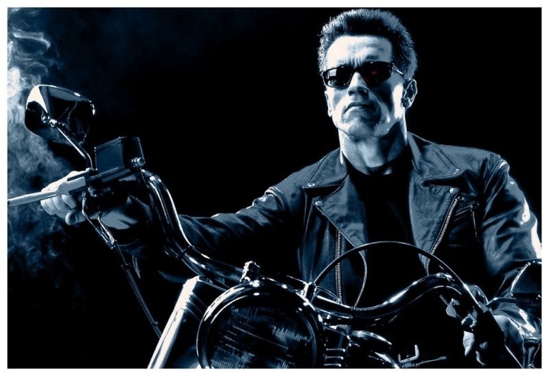 Create meme: Arnold Schwarzenegger , t 800 terminator, the terminator Arnold Schwarzenegger