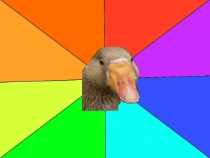 Create meme: Funny goose
