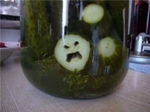 Create meme: pickles, pickles