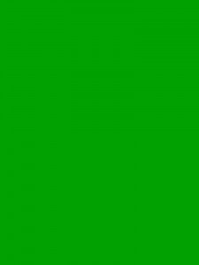 Создать мем: светло зелёный, зеленый цвет, зеленый квадрат