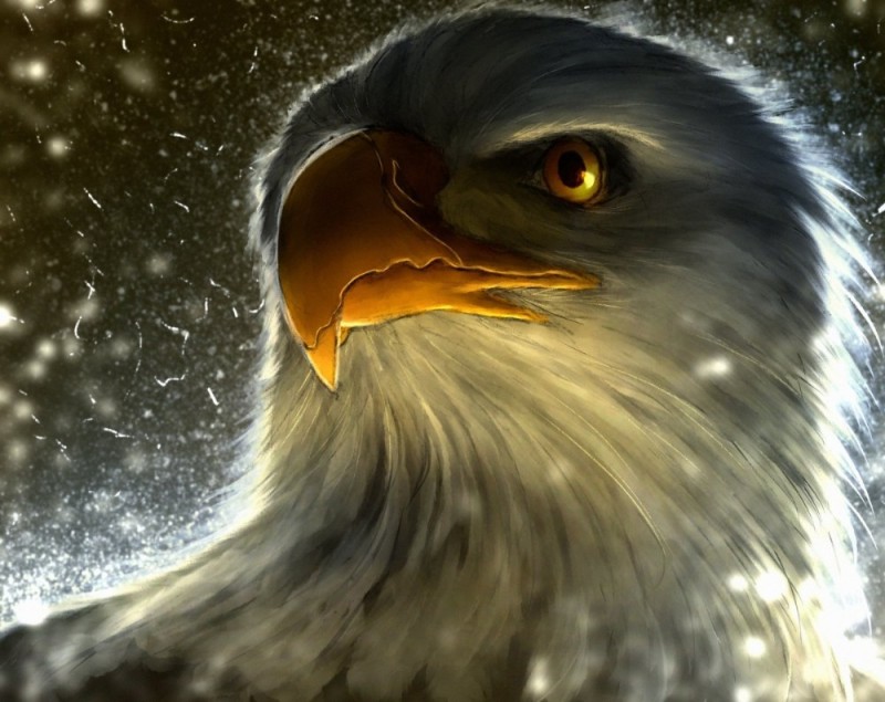 Create meme: eagle art, eagle, eagle 