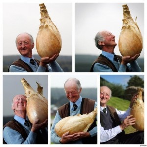 Create meme: giant vegetables, grandfather with an onion, funny onion