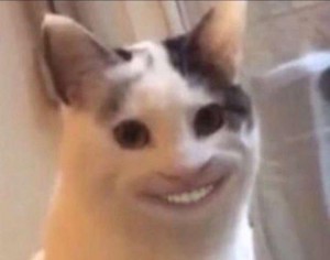 Создать мем: улыбающийся кот мем 2020, мем кот, улыбающийся кот из мемов