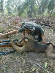 Создать мем: women hunting monkey, охота оружие, обезьяна снайпер