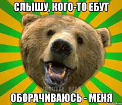 Create meme: grizzly bear grin, a meme with a bear, the formidable grizzly bear